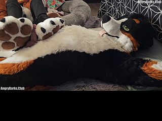 Watch pawslut puppy gets back to back pawjobs with massive 2nd cumshot at the end Film